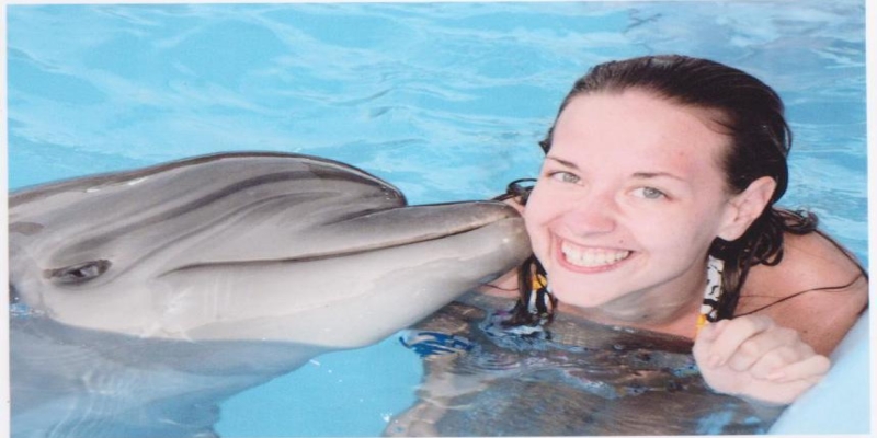 dolphins excursions sharm el sheikh